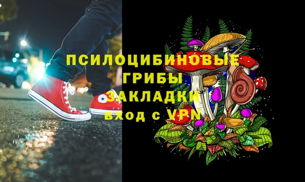 трава Осинники