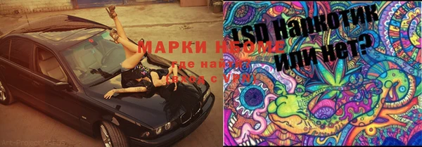 трава Осинники