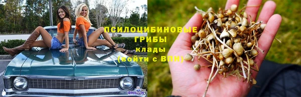гидра Осташков
