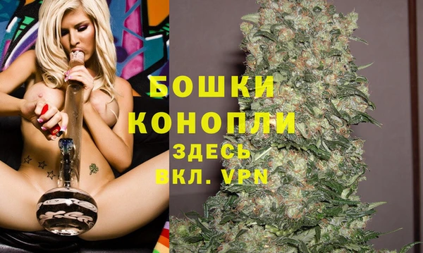 гидра Осташков