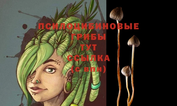 прущие крисы Няндома