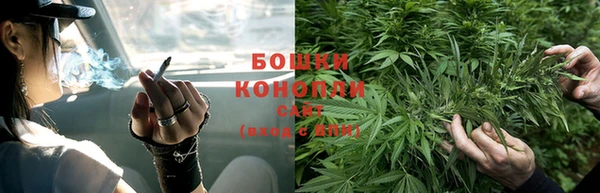 трава Осинники